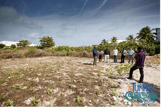 Bryan Naqqi Manco from Department of Environment and Martime Affairs guides visitors around the garden during its official opening; Copyright: Turks and Caicos Tourist Board