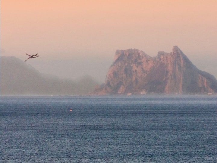 Views around Gibraltar; Copyright: Prof John Cortes