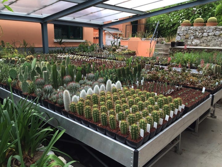 The plant nursery at the Alamada botanic gardens; Copyright: Prof John Cortes