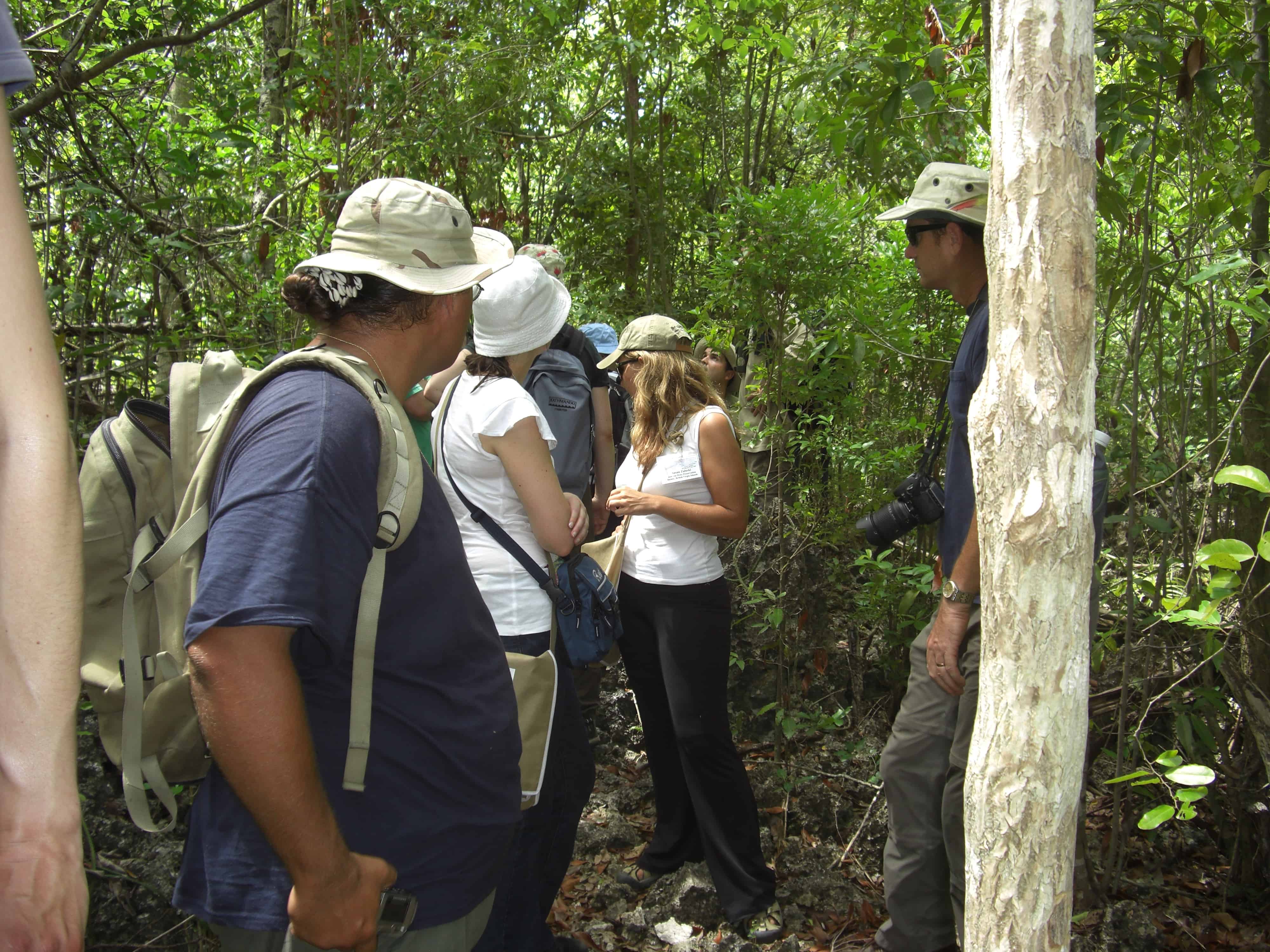 Mastic Reserve trail, Grand Cayman