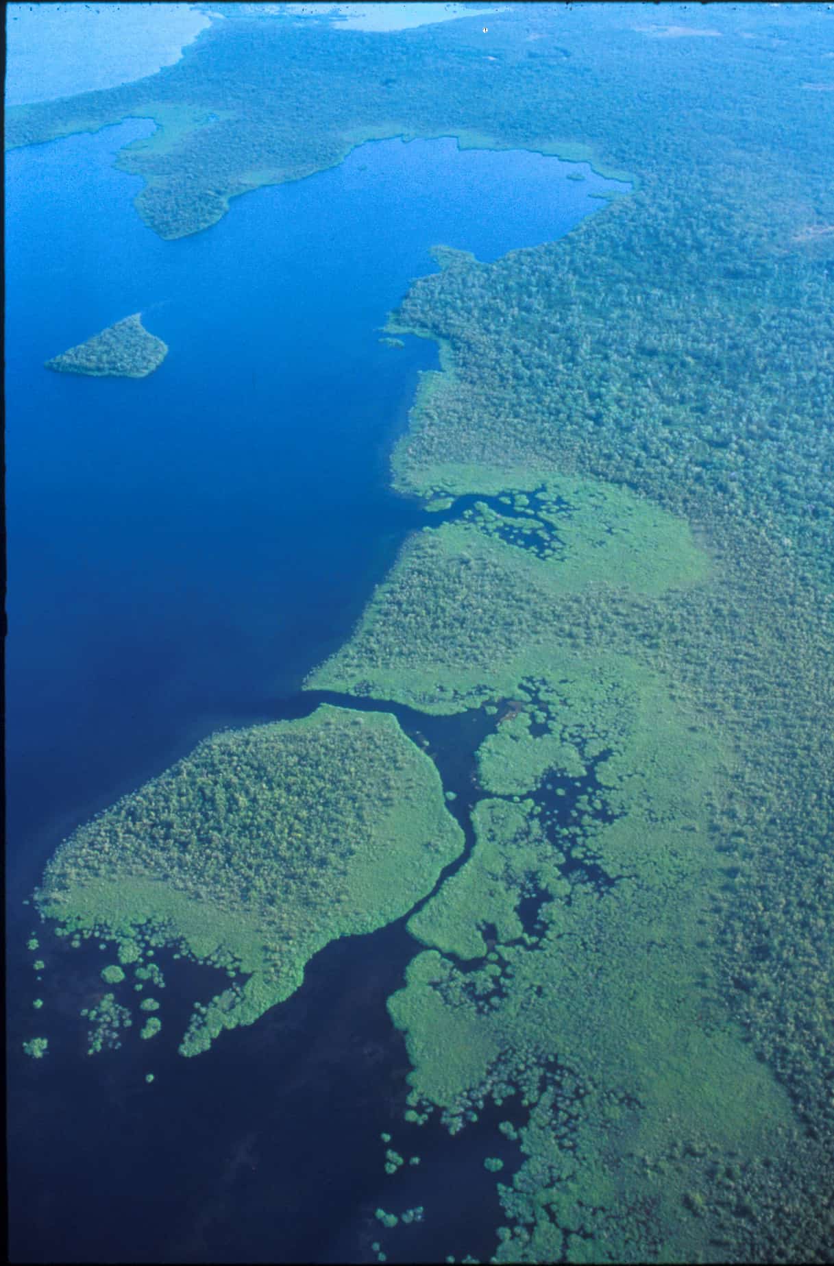 Aerial view of part of the Central Mangrove Wetland, Grand Cayman. This area, a proposed Wetland of International Importance under the Ramsar Convention, has long been proposed for effective protection, but the need is still there