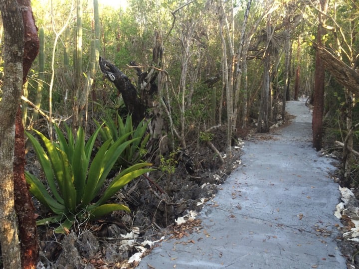 Walk through the new protected area at Colliers; Copyright: Ann Stafford