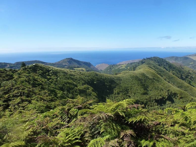 View from Diana's Peak, St Helena. Copyright: Felix Driver