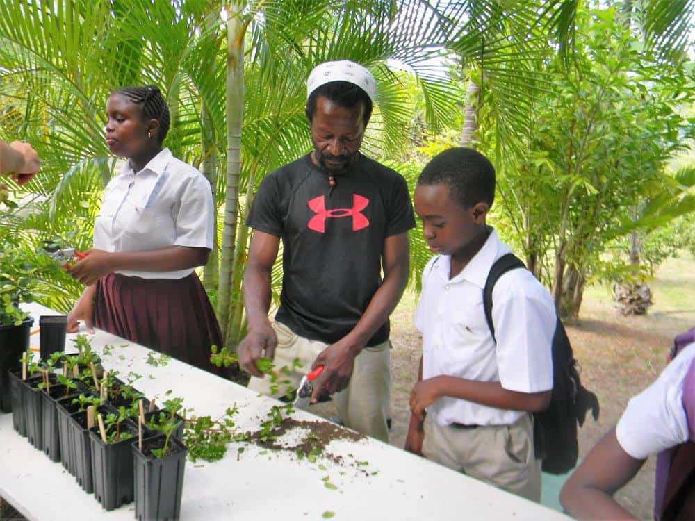 School open day at the Montserrat Botanic gardens; Copyright: Montserrat National Trust