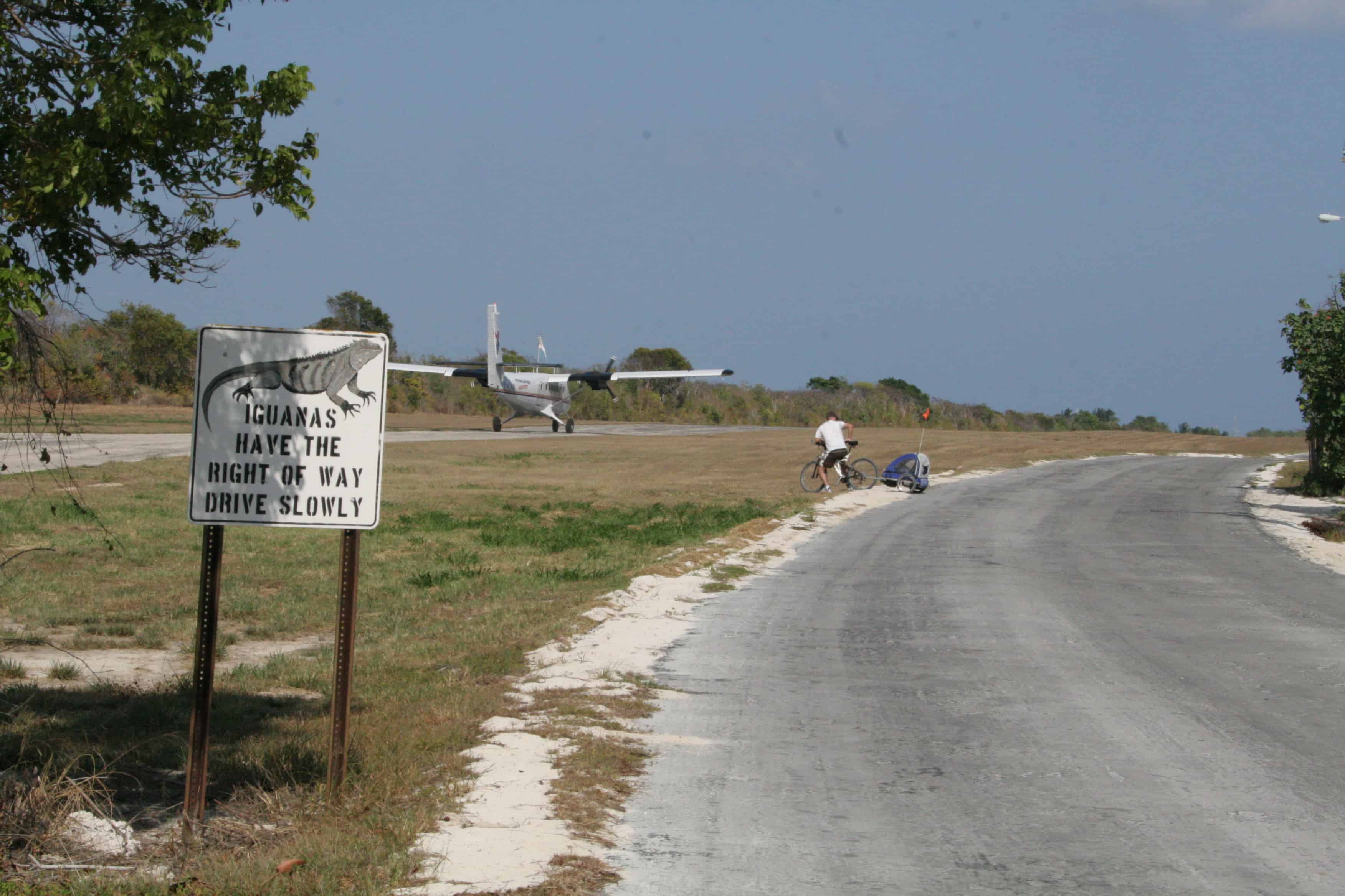 The islands are linked by aircraft. At Little Cayman airport, car drivers (and perhaps pilots) are asked to give way to the native iguanas. Copyright: Dr Mike Pienkowski