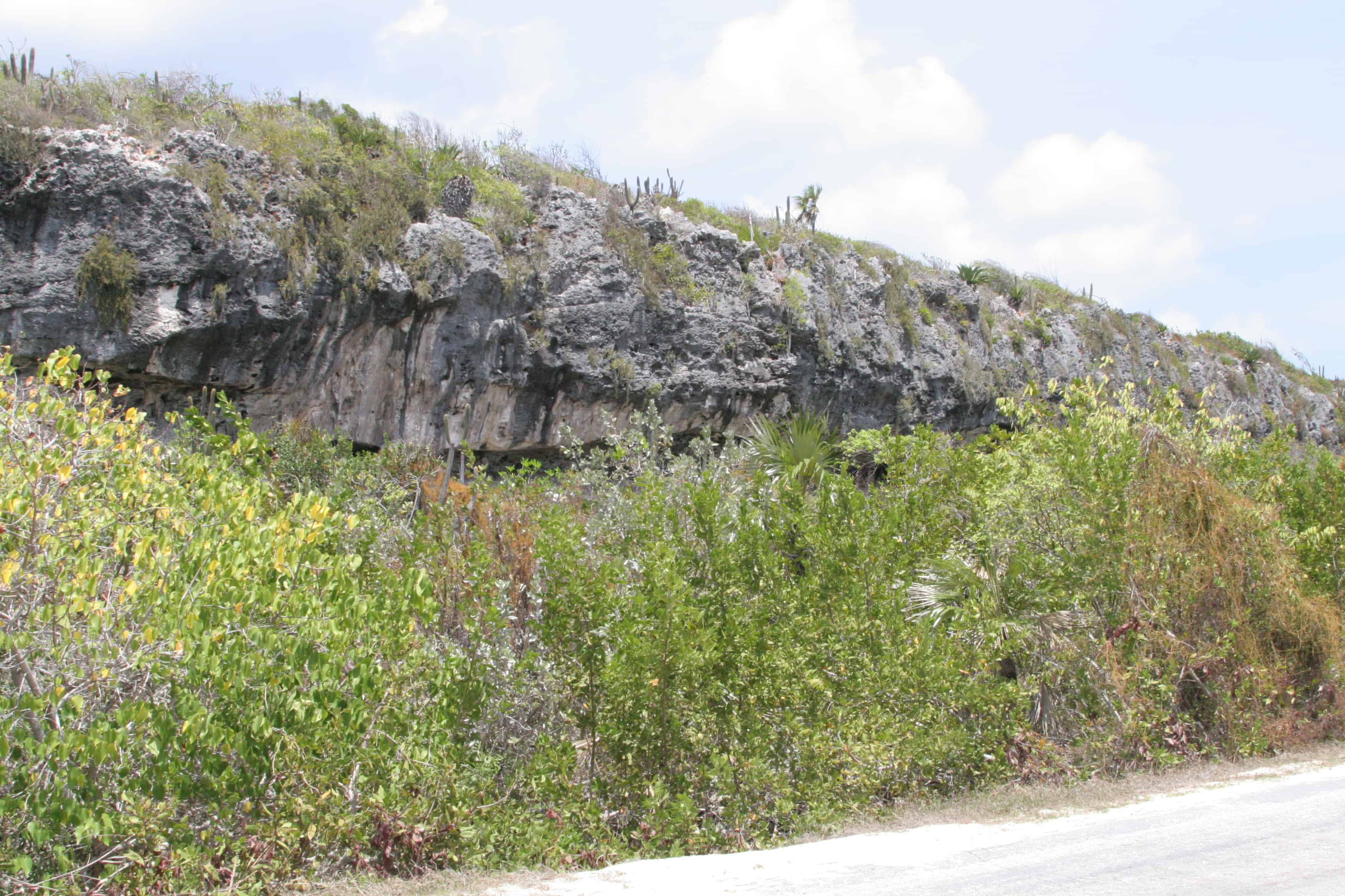 The Bluff from the shore level, Cayman Brac.