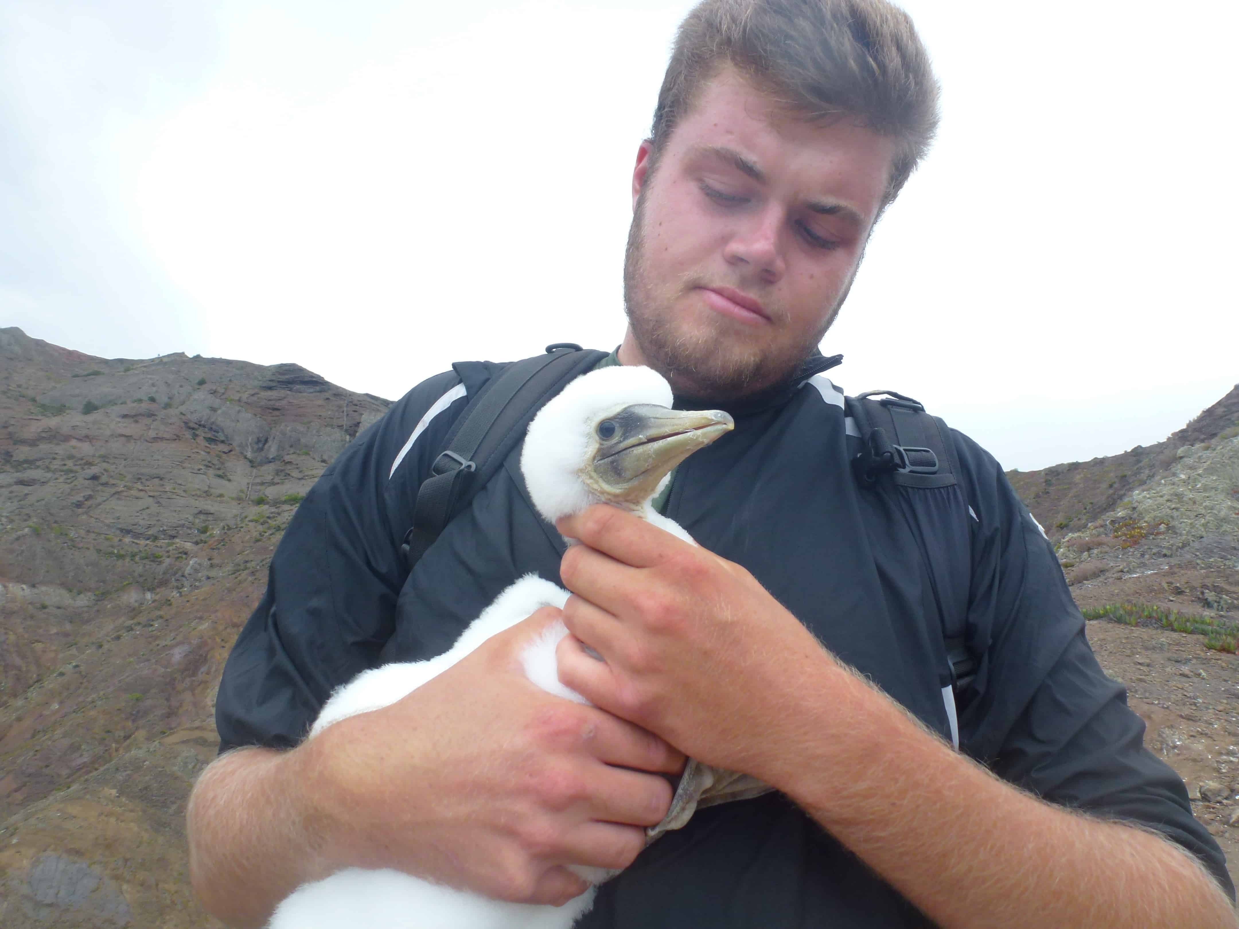 Felix Driver spent over 8 months working with local conservation groups including St Helena National Trust; Here he is holding a masked booby as part of survey work.