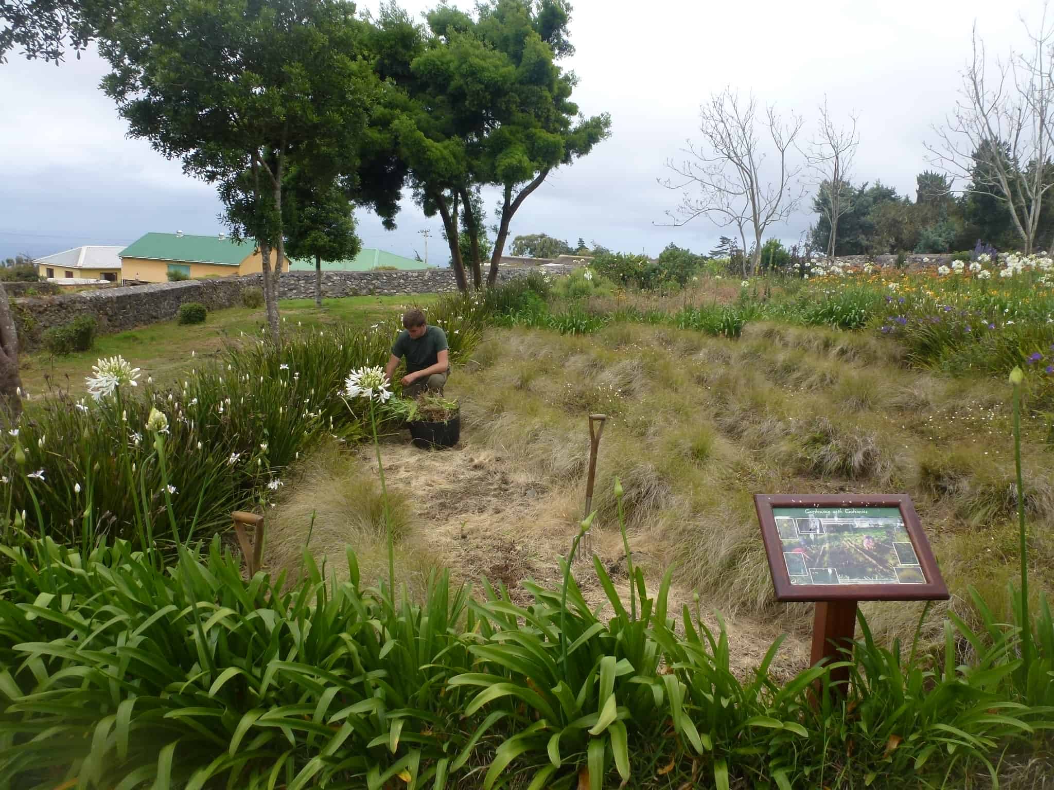 Felix Driver undertaking some natural landscaping on St Helena during his 9 months working there with the St Helena National Trust Forum News 43 outlines his placement; Copyright: Felix Driver