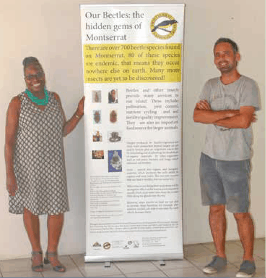 A poster produced which raises awareness of the importance of insects to Montserrat now displaying in the Montserrat National Trust office, here, with Jean White and Nicolas Tirard of MNT; Copyright: Dr Mike Pienkowski