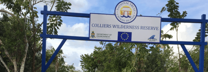 Colliers Wilderness Reserve