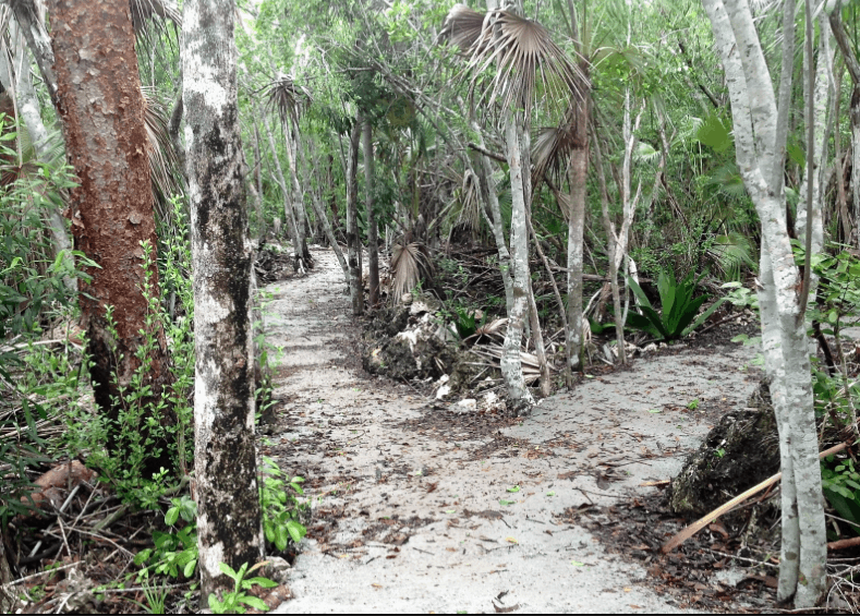 Walk through the new protected area at Colliers; Copyright: Ann Stafford