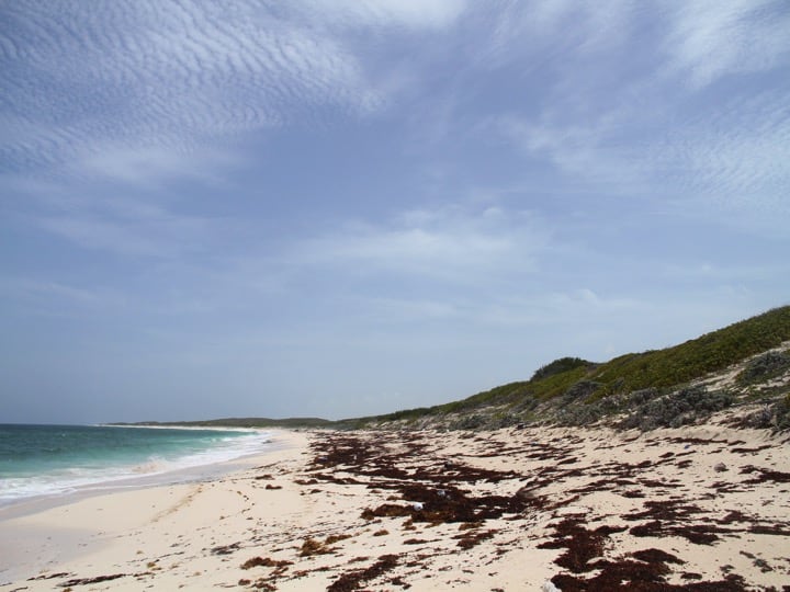 East Caicos coastline; Copyright: Kathleen McNary Wood