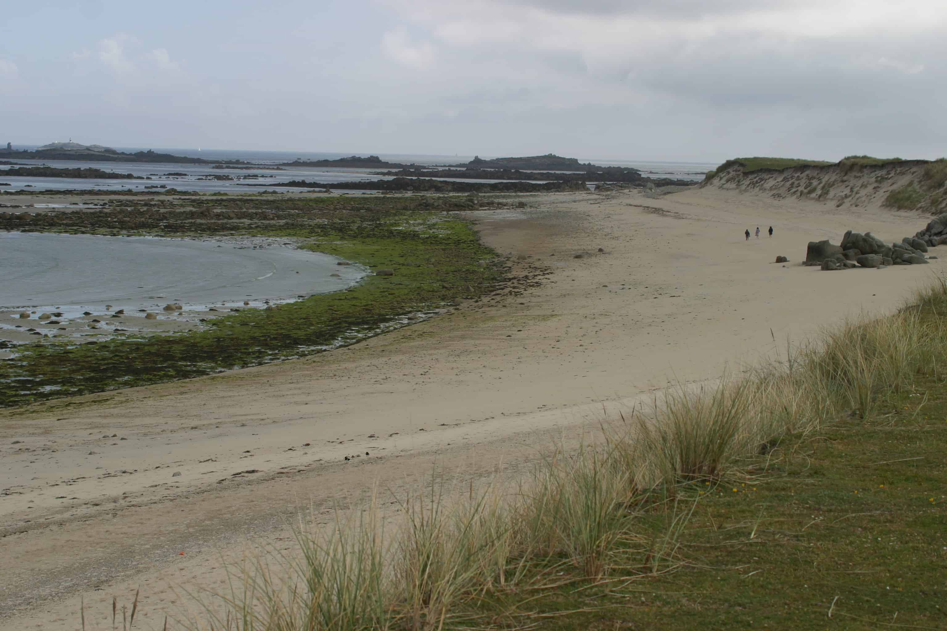 Part of Herm, Jethou & The Humps Ramsar Site. Copyright: Dr Mike Pienkowski