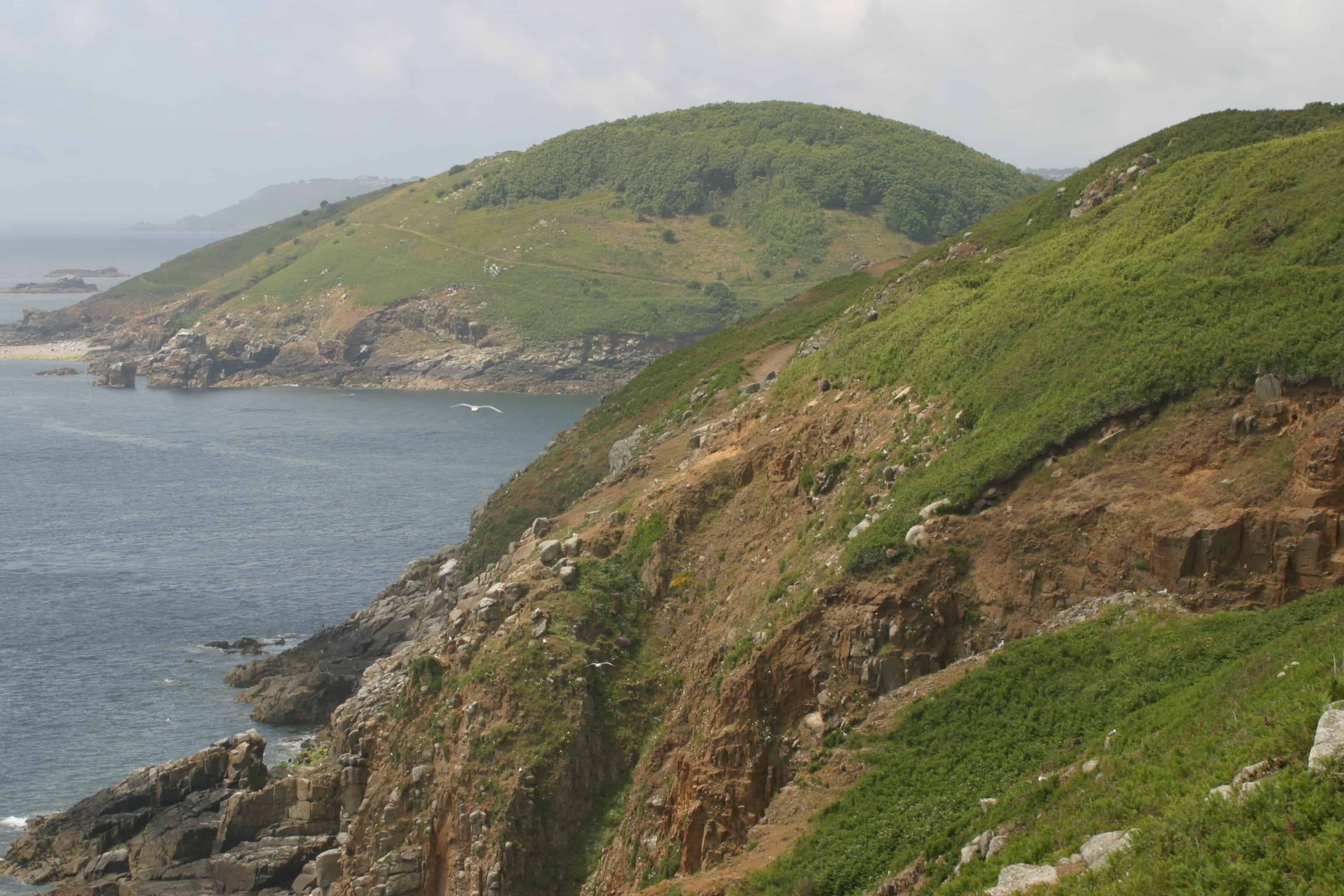 A rocky part of the coast. Copyright: Dr Mike Pienkowski