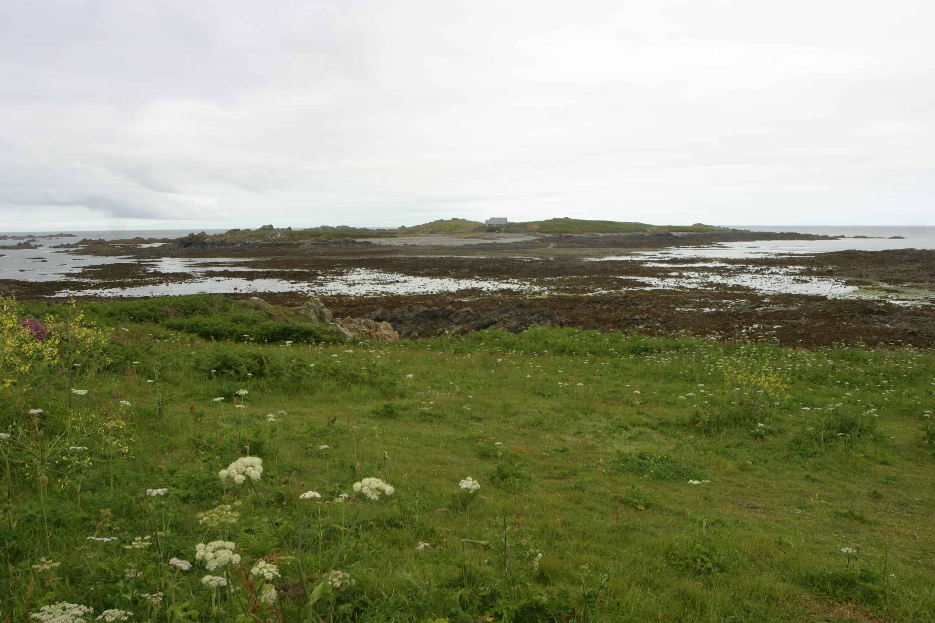 Part of Lihou Island & L'Eree Headland Ramsar Site; Copyright: Dr Mike Pienkowski