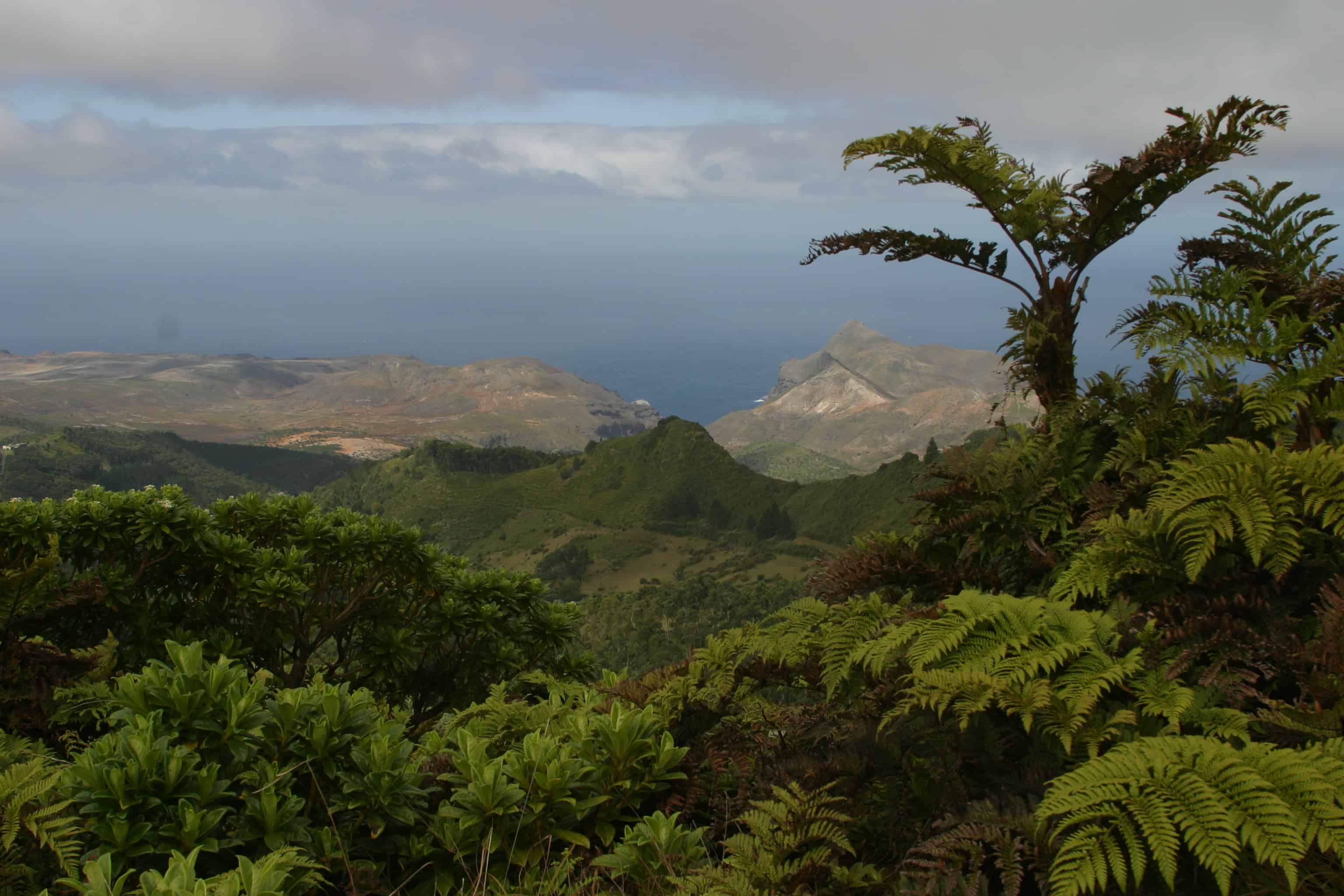 St Helena, viewed from cloud forest on the mountain, eastward to the desert. Copyright: Dr Mike Pienkowski