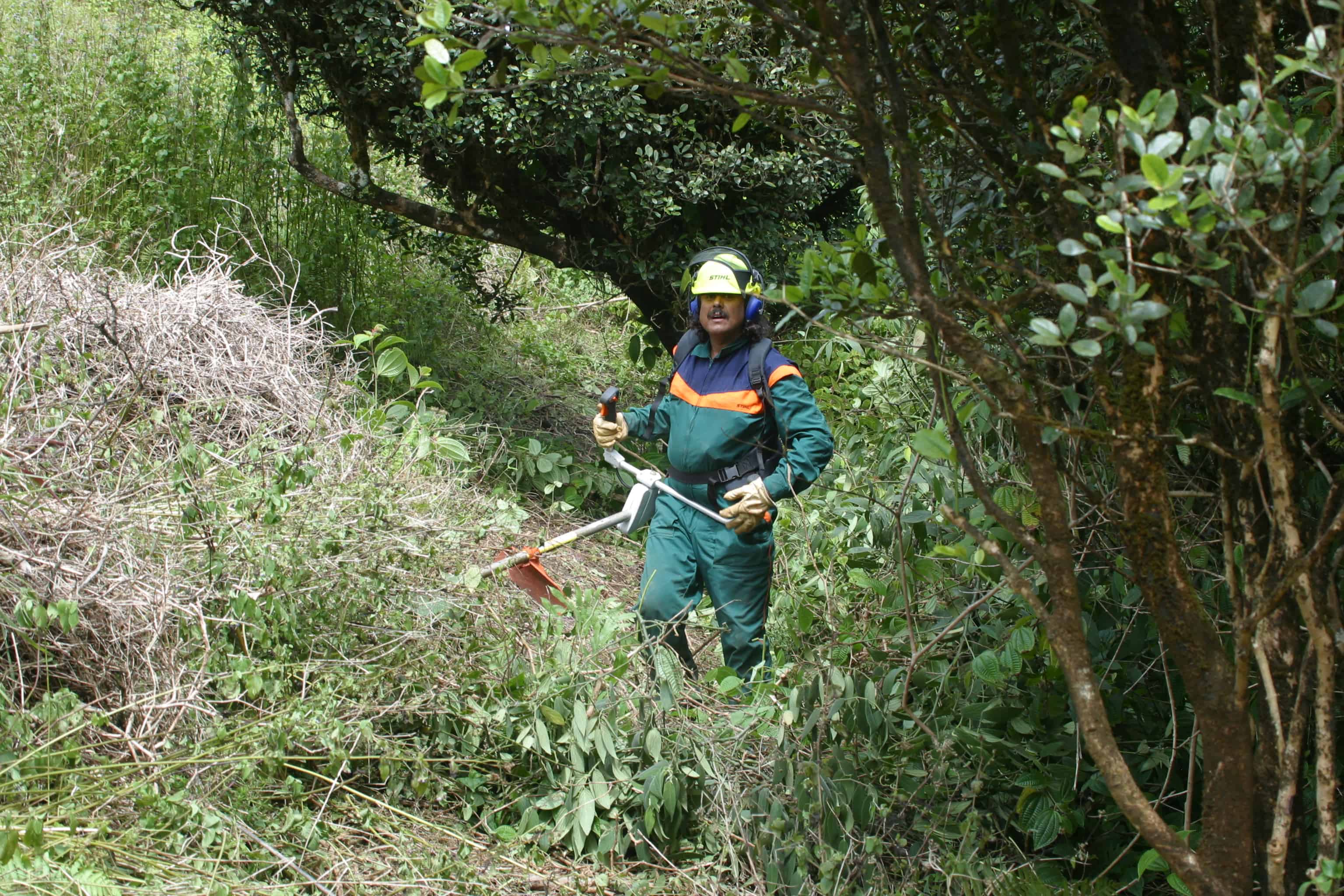 Former Conservation Officer Stedson Stroud manages the National Park on Green Mountain. Copyright: Dr Mike Pienkowski