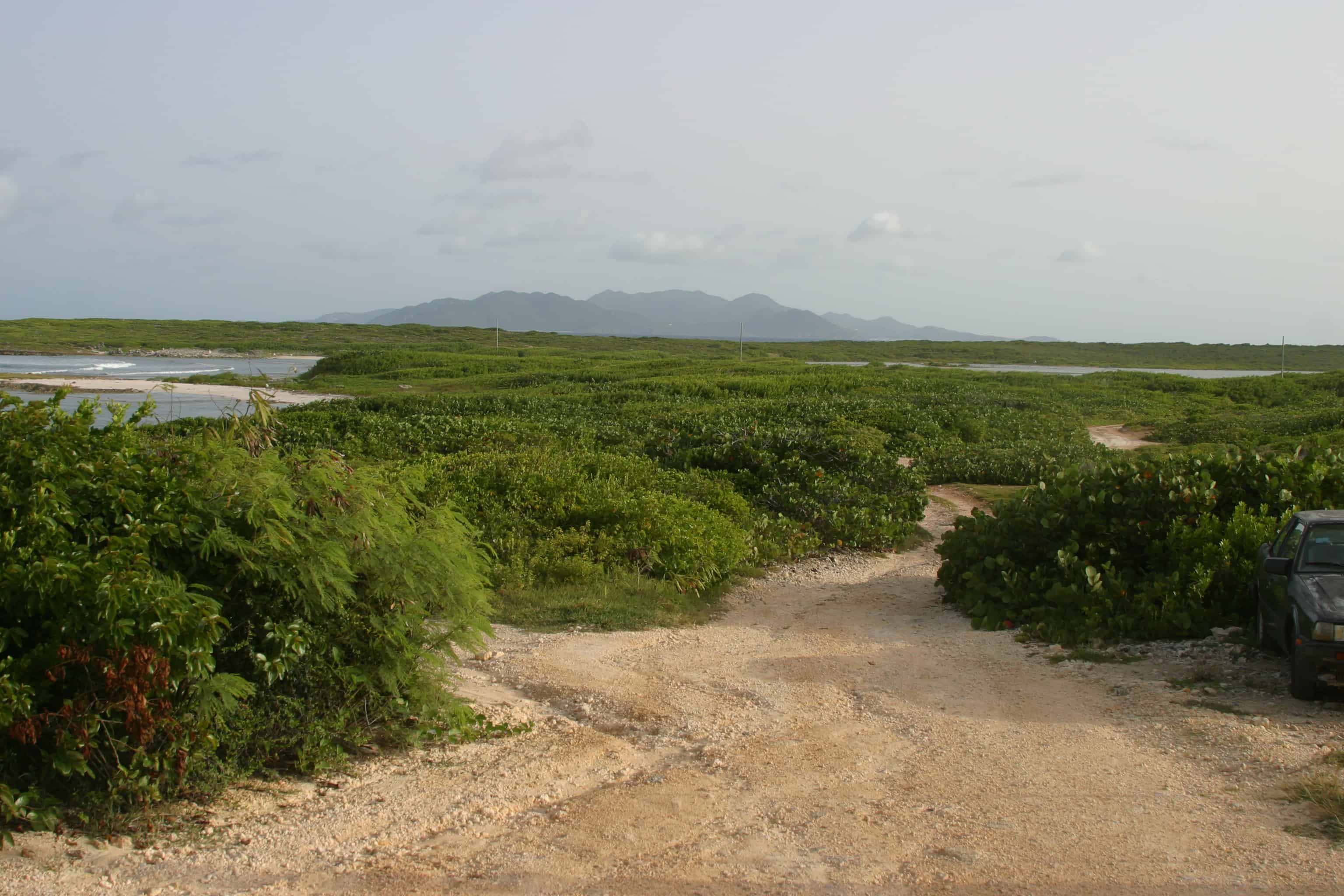 Eastern Anguilla, with St Martin beyond; Copyright: Dr Mike Pienkowski