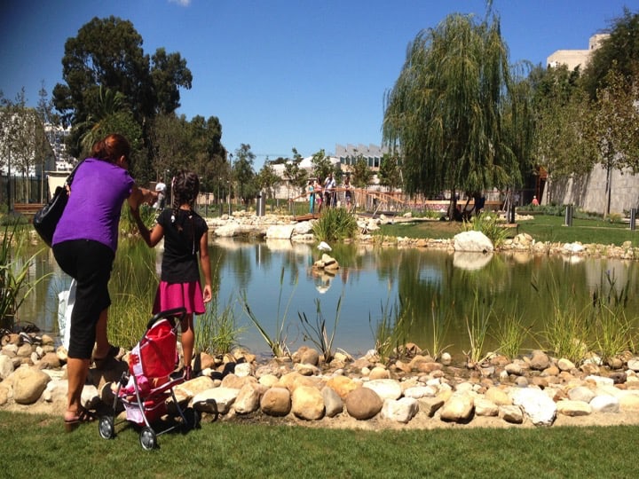 Commonwealth Park is the first public park opened since the Alameda botanical gardens opened in 1816. Copyright: HMGOG/GONHS