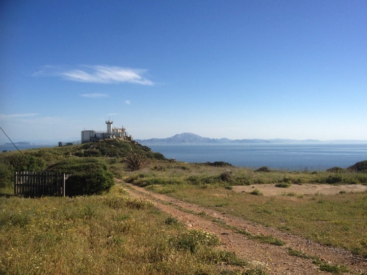 The Straits of Gibraltar's short crossing is the main spring and autumn migration route between Africa and Europe for soaring birds; Copyright: HMGOG/GONHS