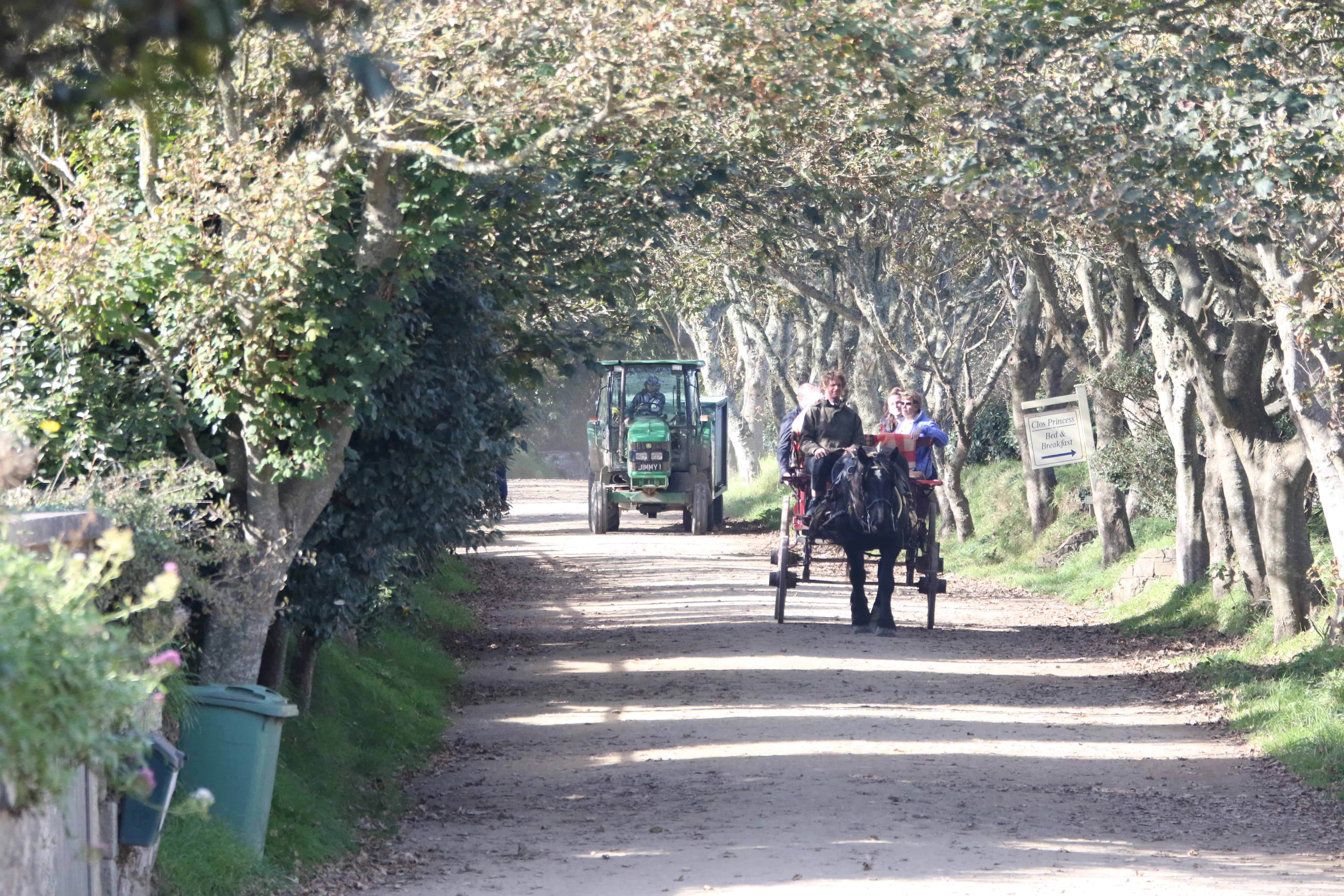 Horse-drawn carriage and agricultural tractor are the vehicles on Sark, as well as bicycles and feet. Copyright: Dr Mike Pienkowski