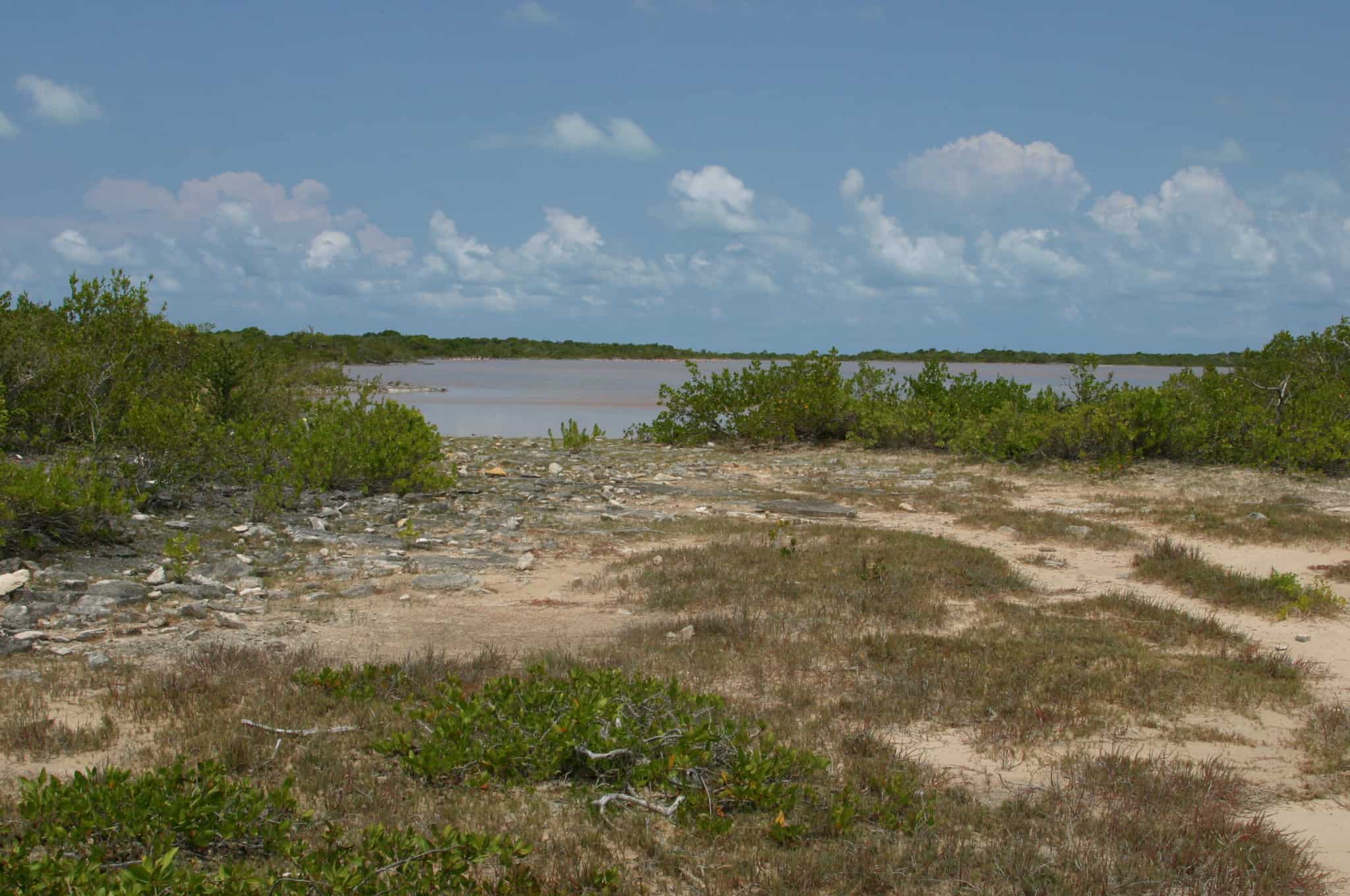 Ponds at Anegada. Copyright: Dr Mike Pienkowski