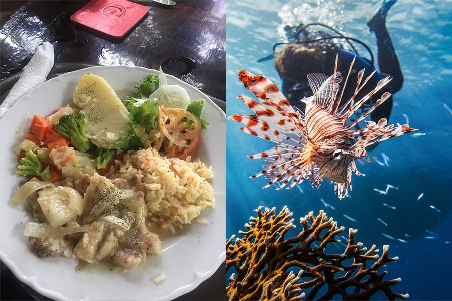 Left: Delicious meal of lionfish prepared at Ponteen's restaurant in Little Bay Montserrat; Copyright: UKOTCF; Right: Lionfish on a reef in its natural range