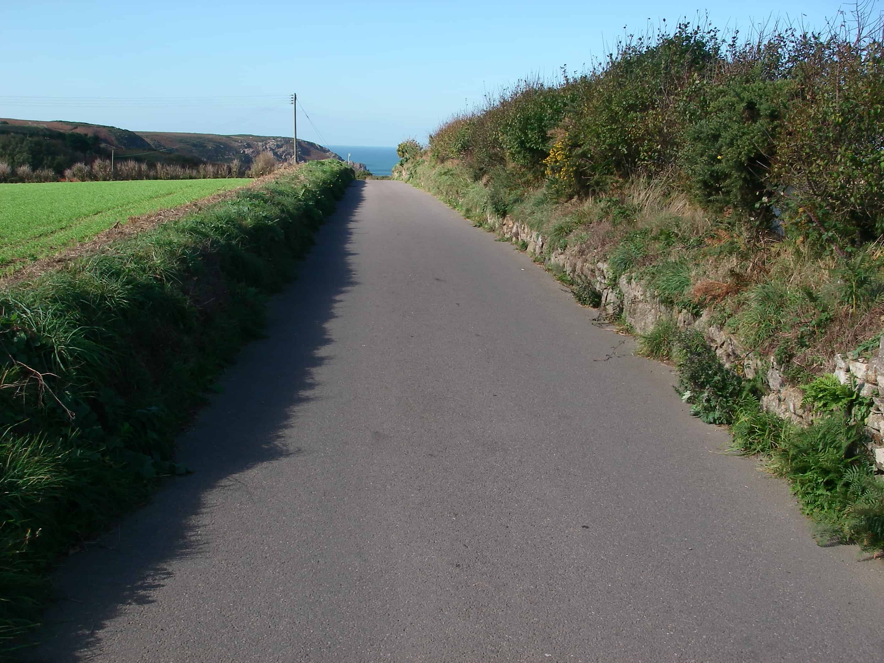 Characteristic banked roads and tracks found on Jersey; Copyright: Dr Mike Pienkowski