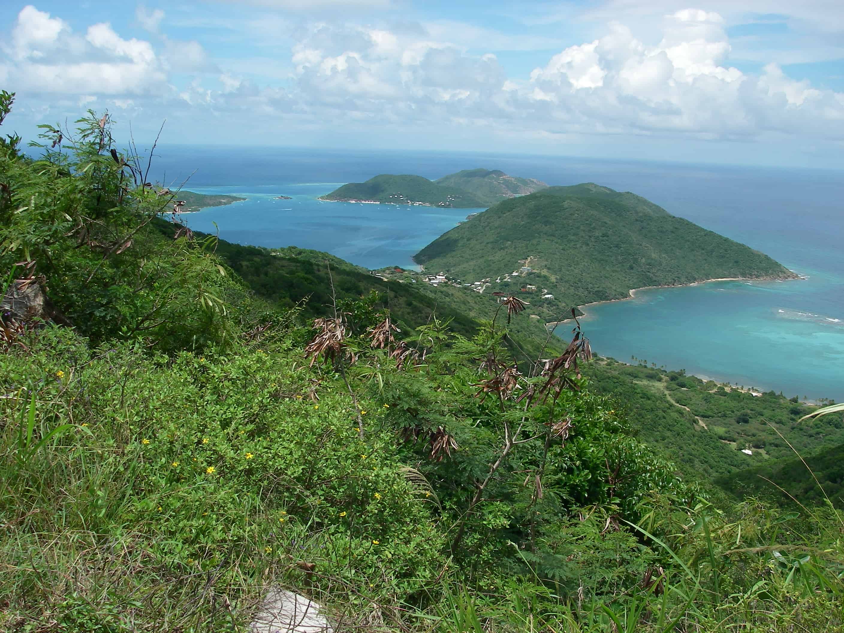 A view of Tortola from Sage Mountain National Park. Copyright: Dr Mike Pienkowski