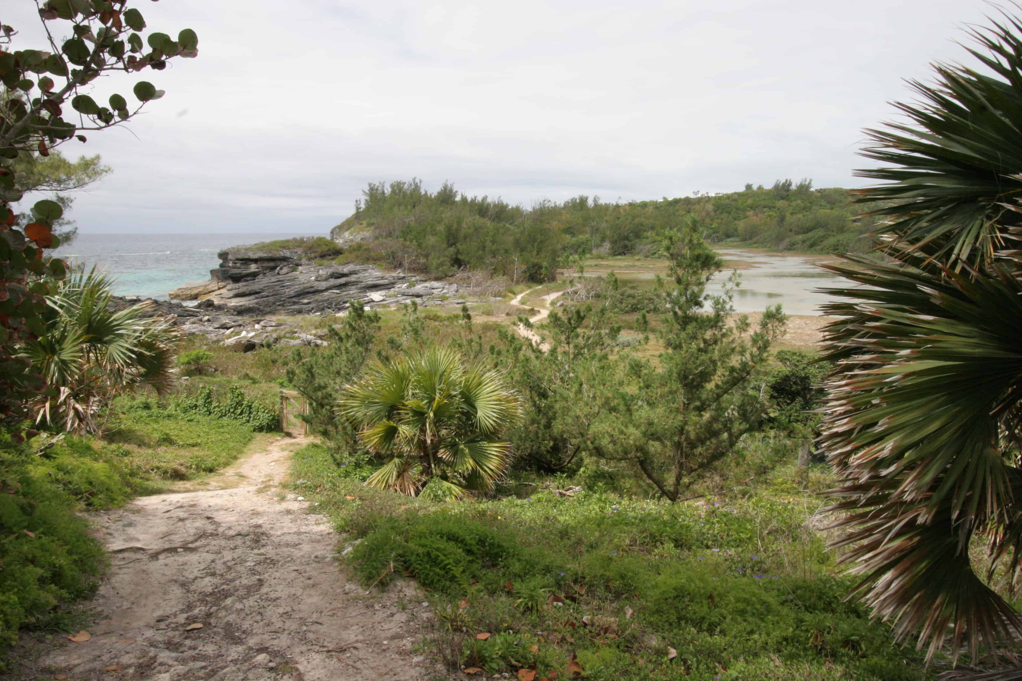 Spittal Pond (right), its Nature Reserve and the SE shore. Copyright: Dr Mike Pienkowski