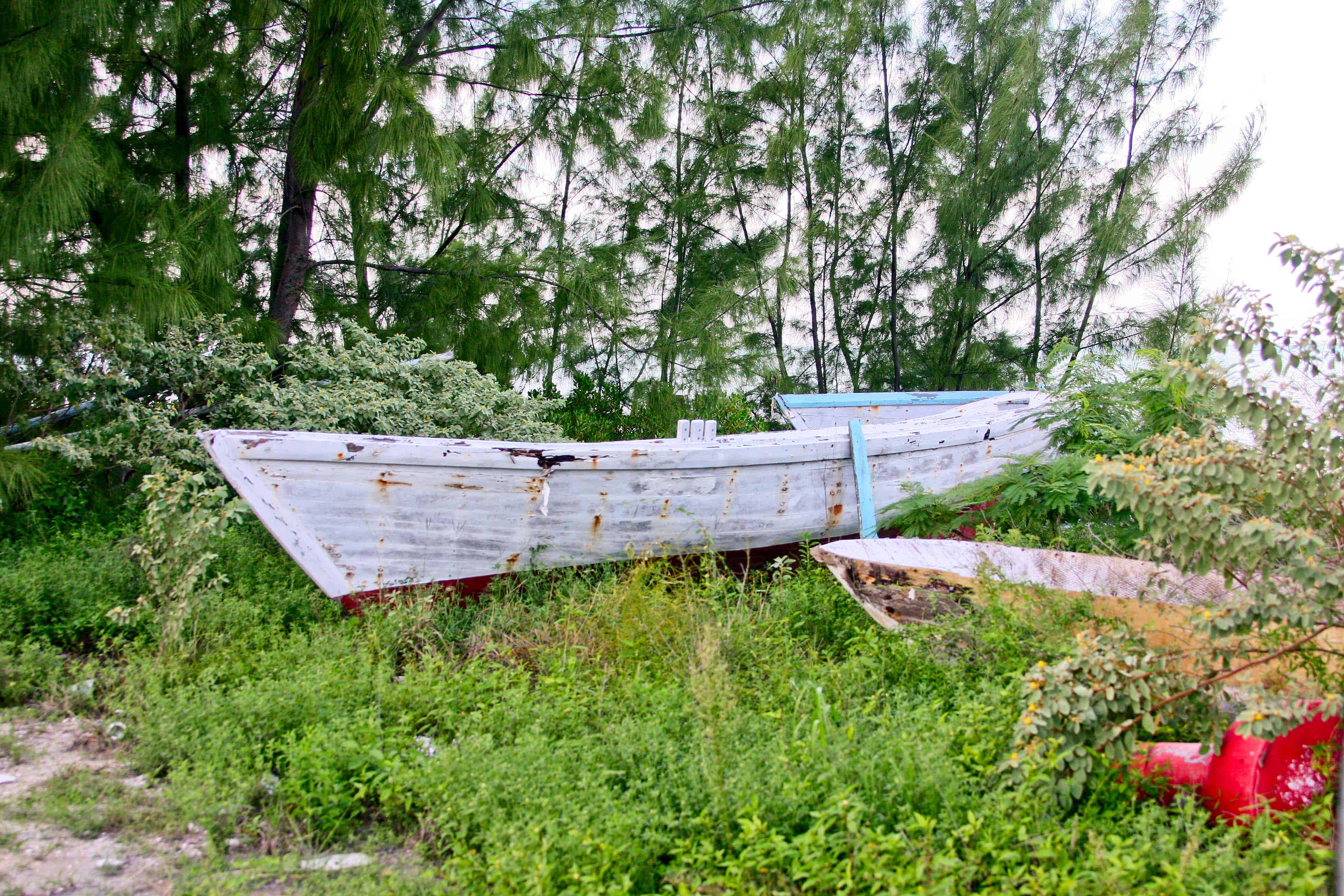 raditional skills developed in TCI include the Caicos sloop; Copyright: Dr Mike Pienkowski