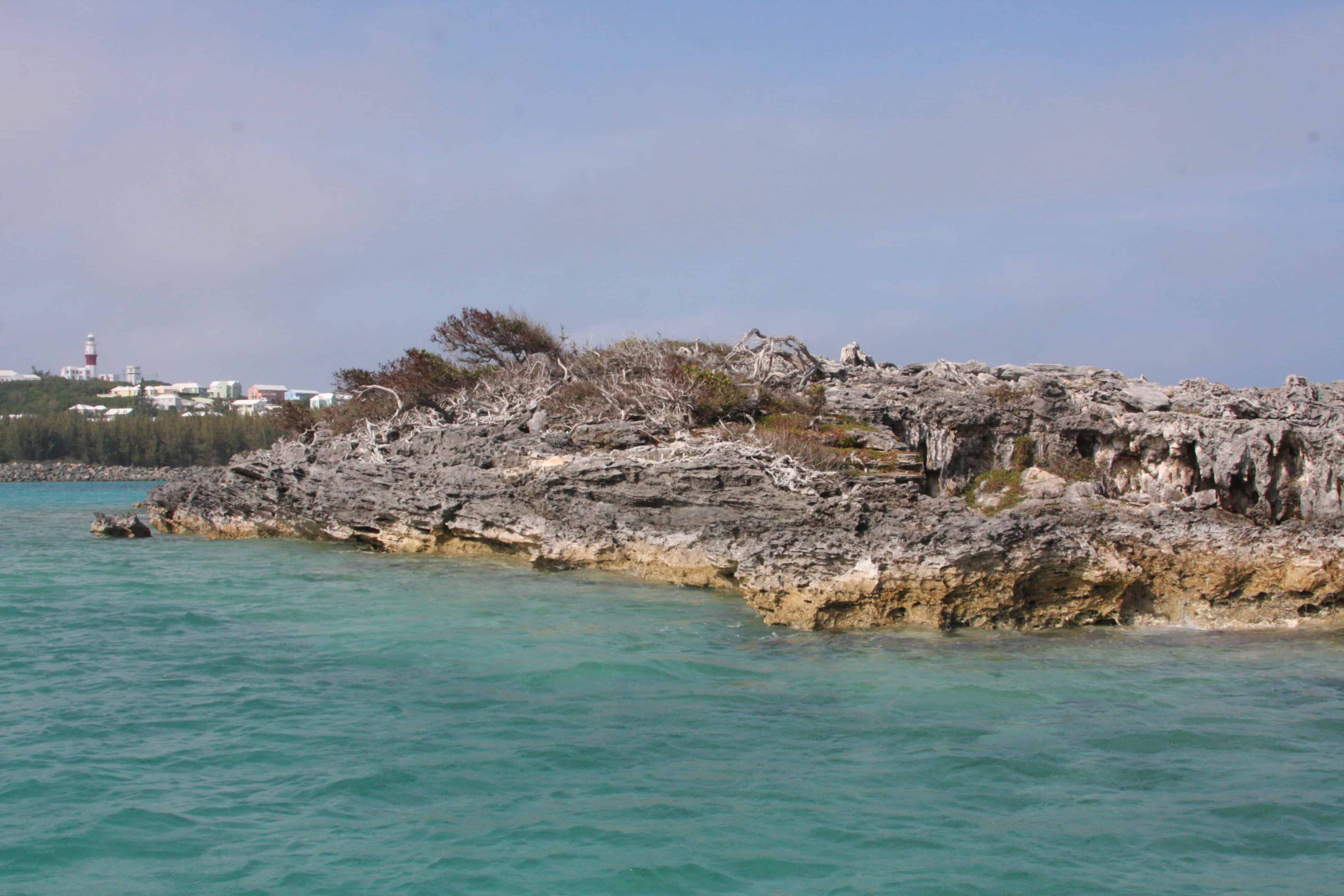 Just off Bermuda, one of the tiny islets in which the Bermuda petrels continued to return in the night to nest in holes for over 300 years while thought to be extinct. Copyright: Dr Mike Pienkowski