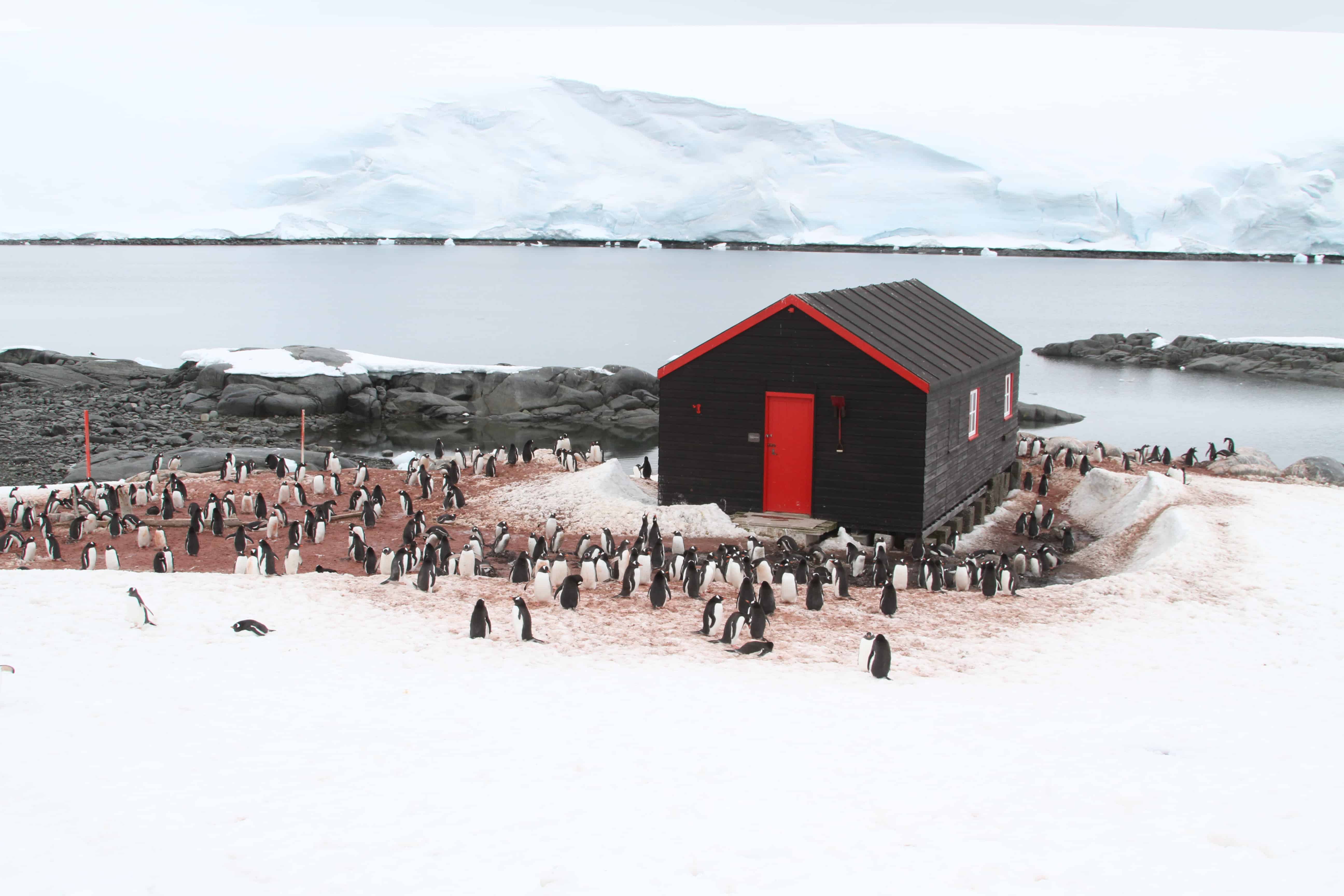 Port Lockroy station. Copyright: Dr Mike Pienkowski