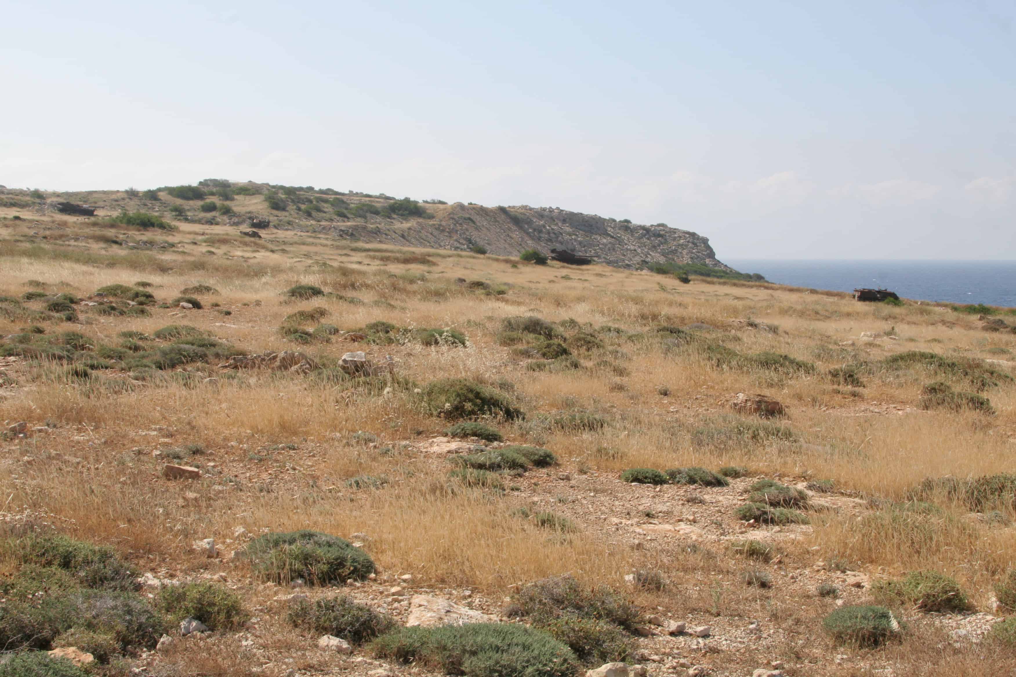 Another example of the habitat mosaic found in the SBAs with heathland in the ESBA. Copyright: Dr Mike Pienkowski