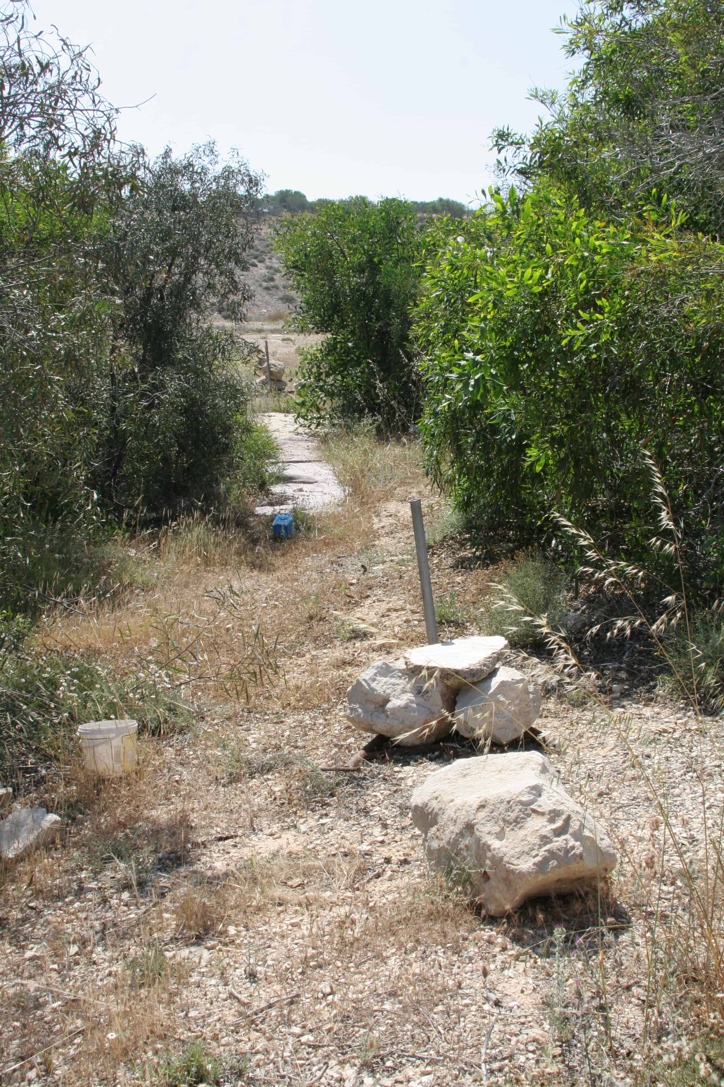 Illegal permanent mist-net cut in bushes in Eastern SBA. Copyright: Dr Mike Pienkowski