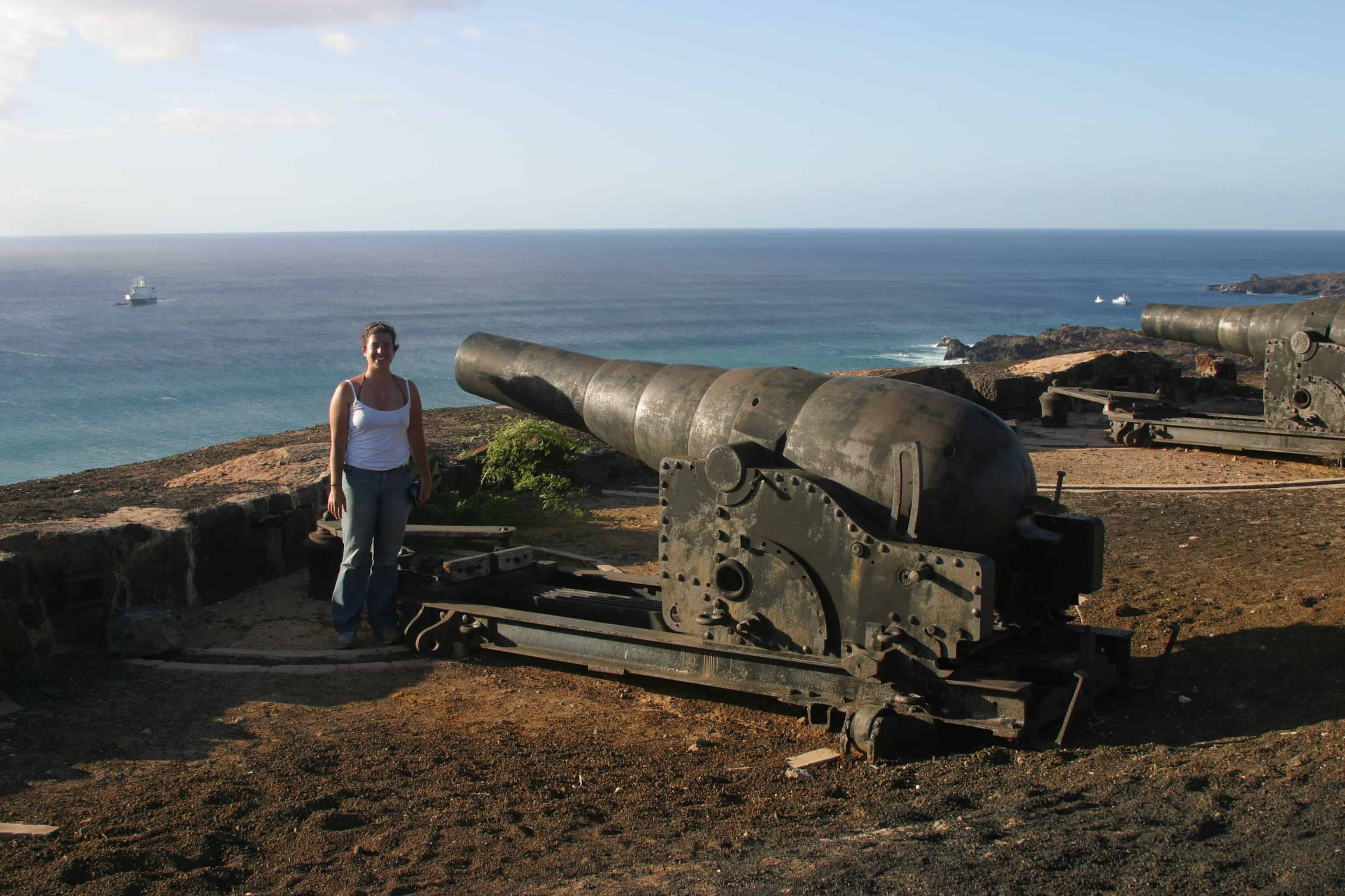 Two of the old defence guns, above Georgetown. Copyrght: Dr Mike Pienkowski