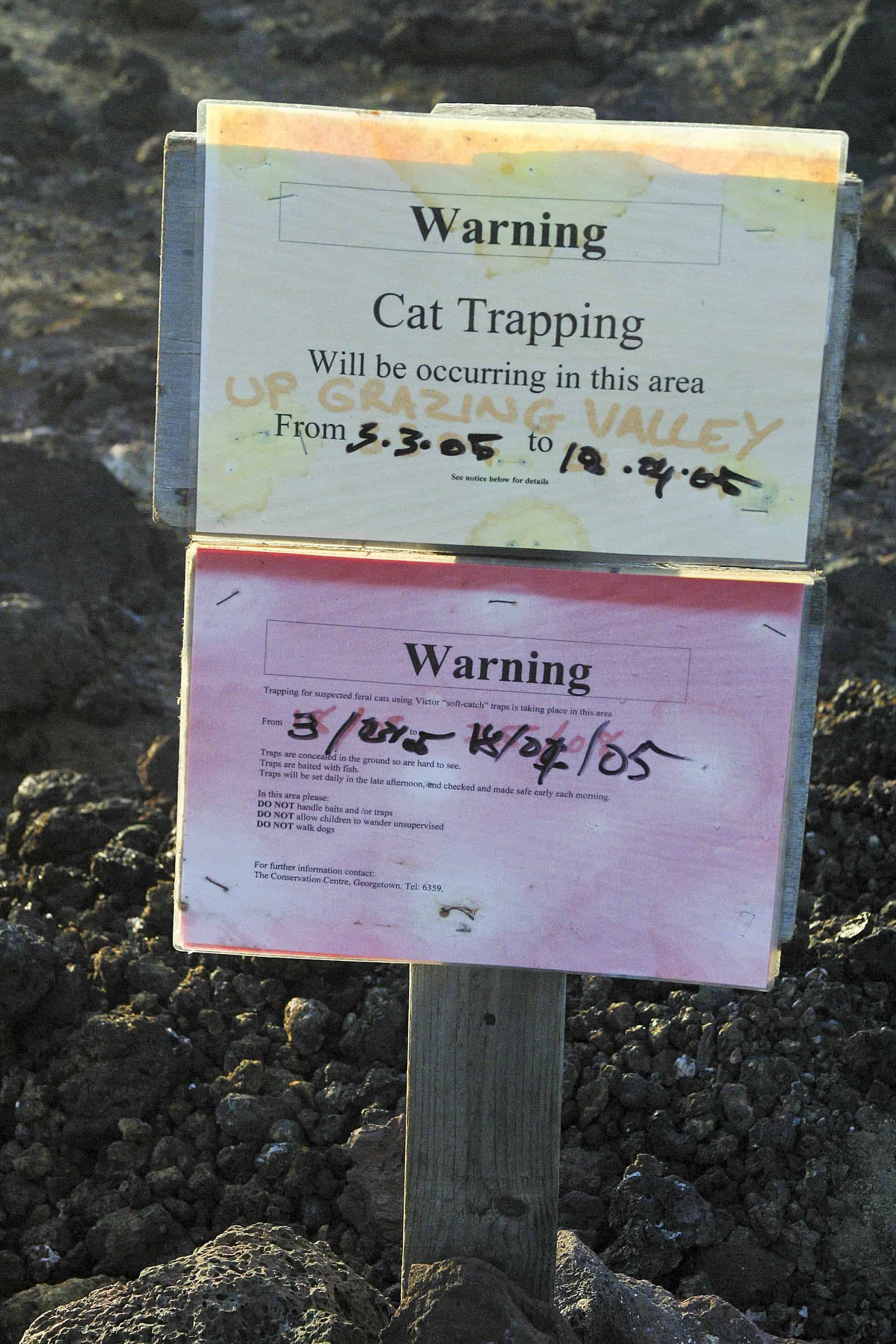 ign to inform public about planned trapping of feral cats on Ascension; Copyright: Dr Mike Pienkowski