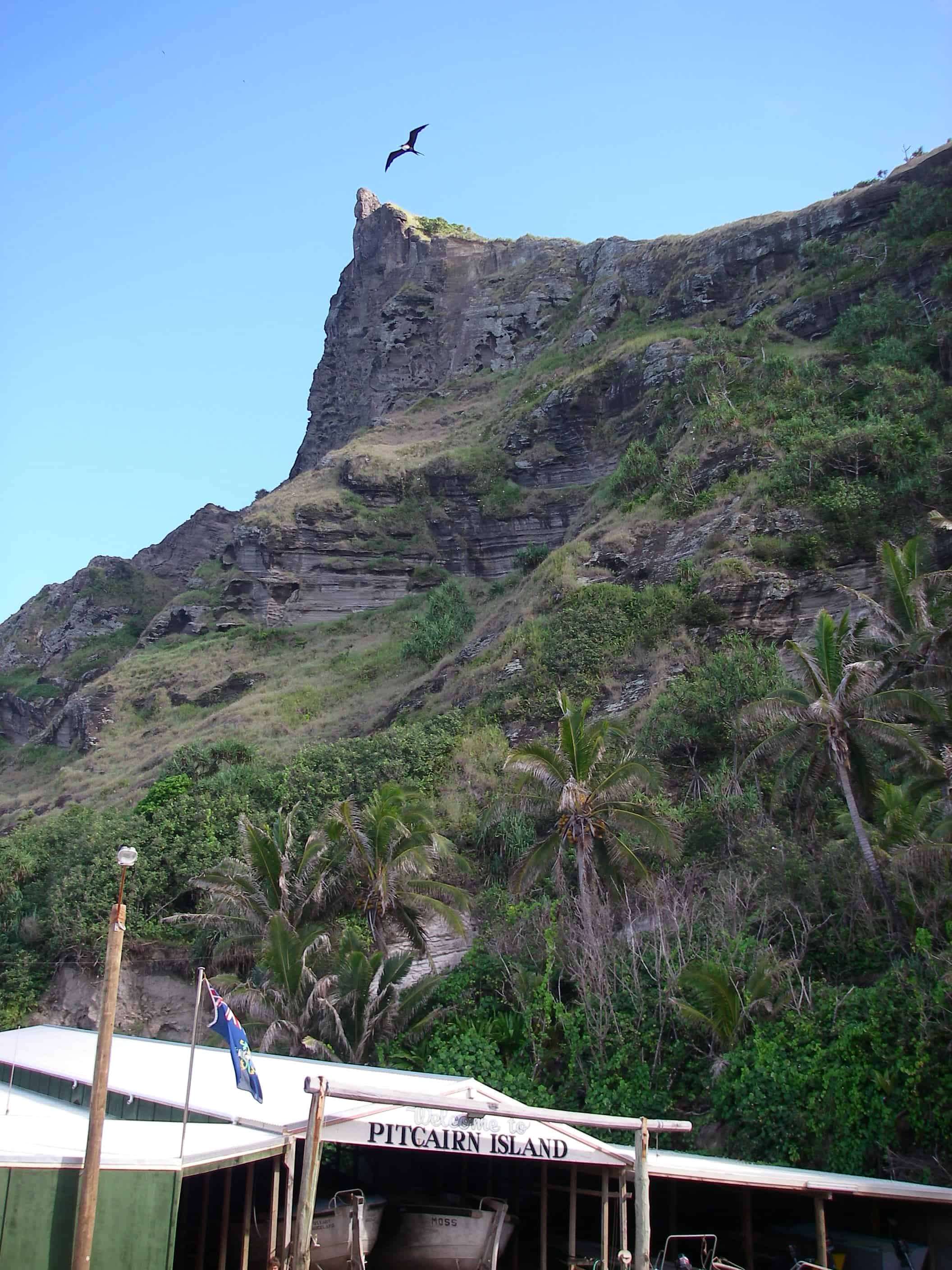 Great frigatebird soars high over Pitcairn and the shed and slips of the longboats. Copyright: Dr Mike Pienkowski