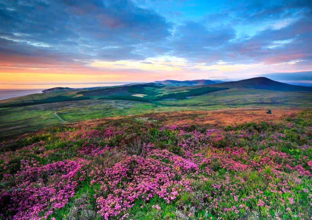 IoM Biosphere credit Paul Marriott