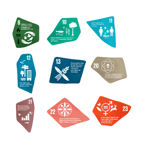 EcoPlay Global Biodiversity Targets