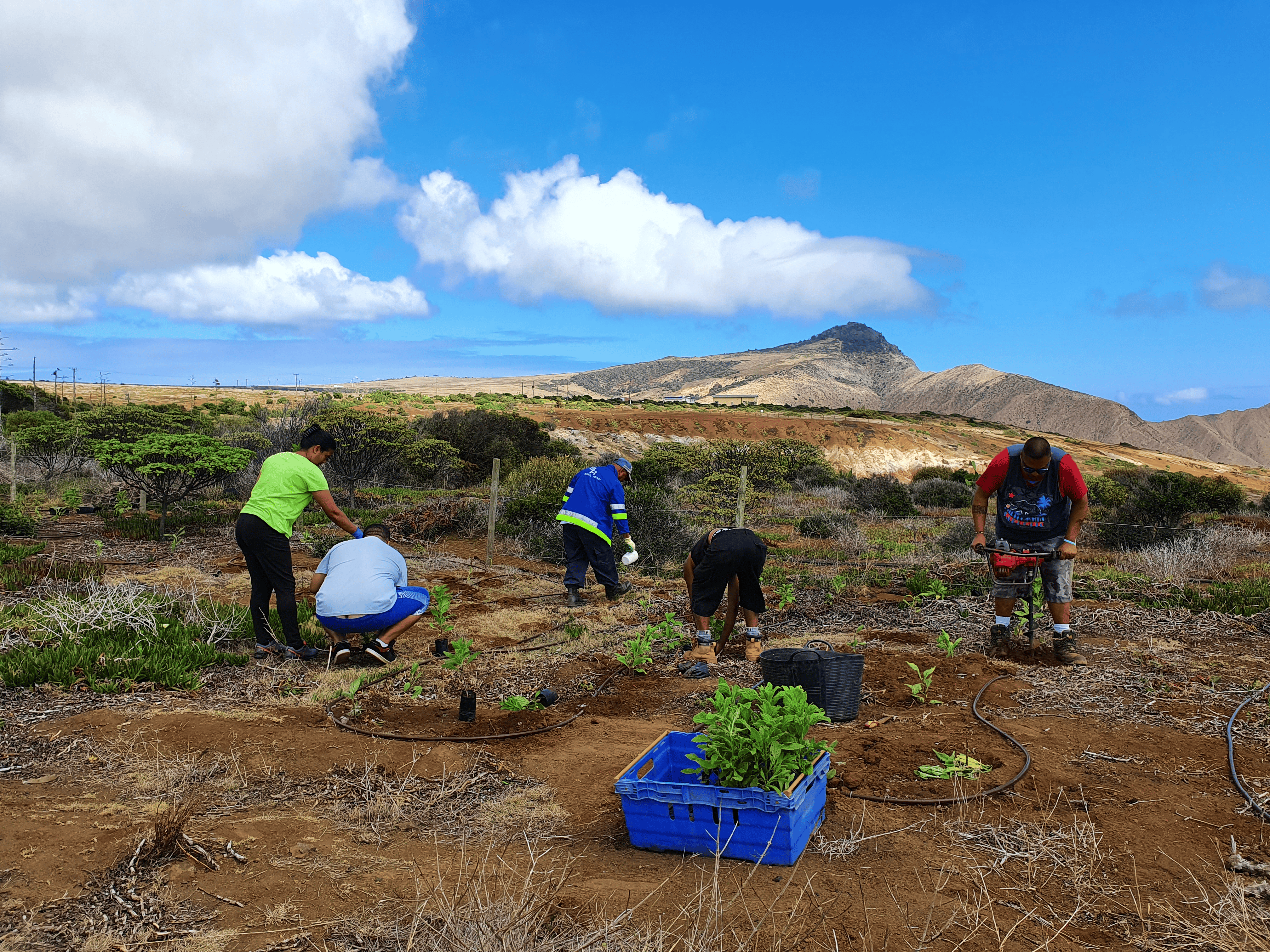 Restoration St Helena