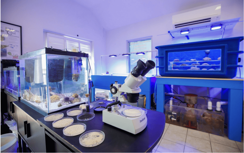 TCI Existing Coral Lab David Gallardo - Brilliant Studios