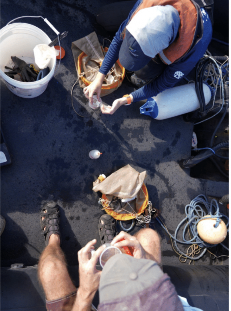 EcoMatch Ascension MPA 1