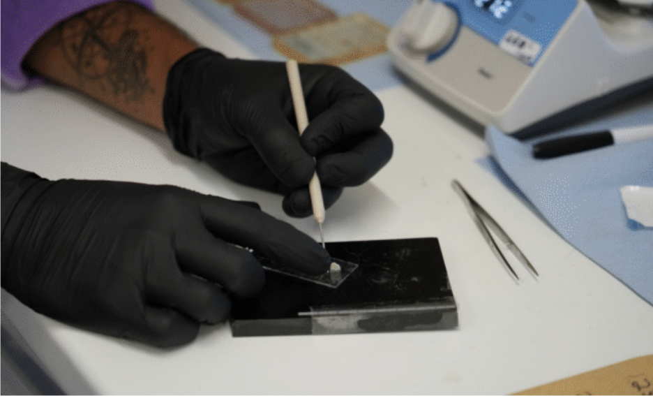 EcoMatch Ascension MPA 2