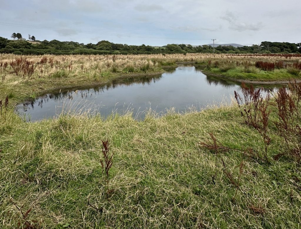 Manx Wetlands