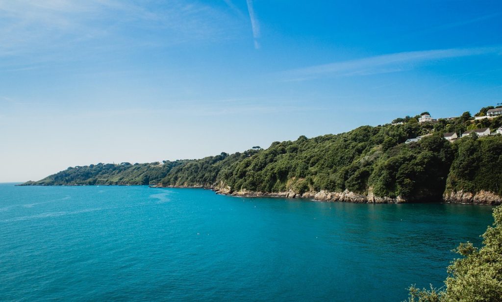 Image by Olly Browning from Pixabay