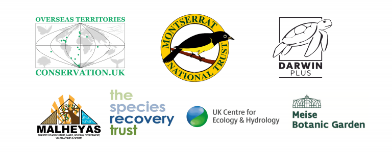 DPLUS192 Main partners 2026 logo updated