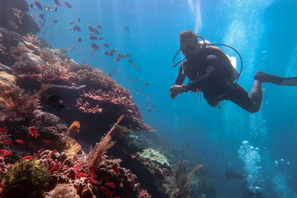 Dive guide in Komodo
