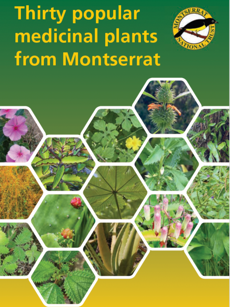 Thirty Medicinal Plants of Montserrat