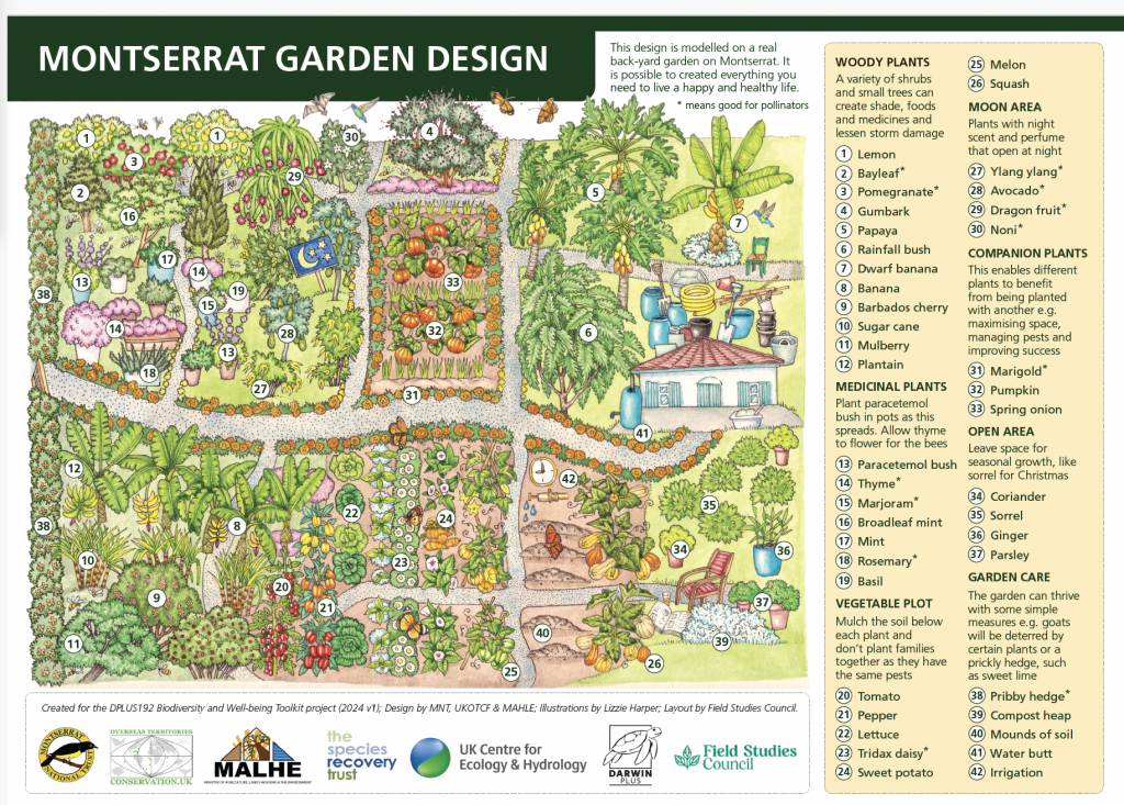Montserrat Garden Plan